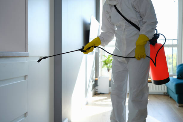 Best Mold Removal Company Near Me  in Howey In The Hills, FL